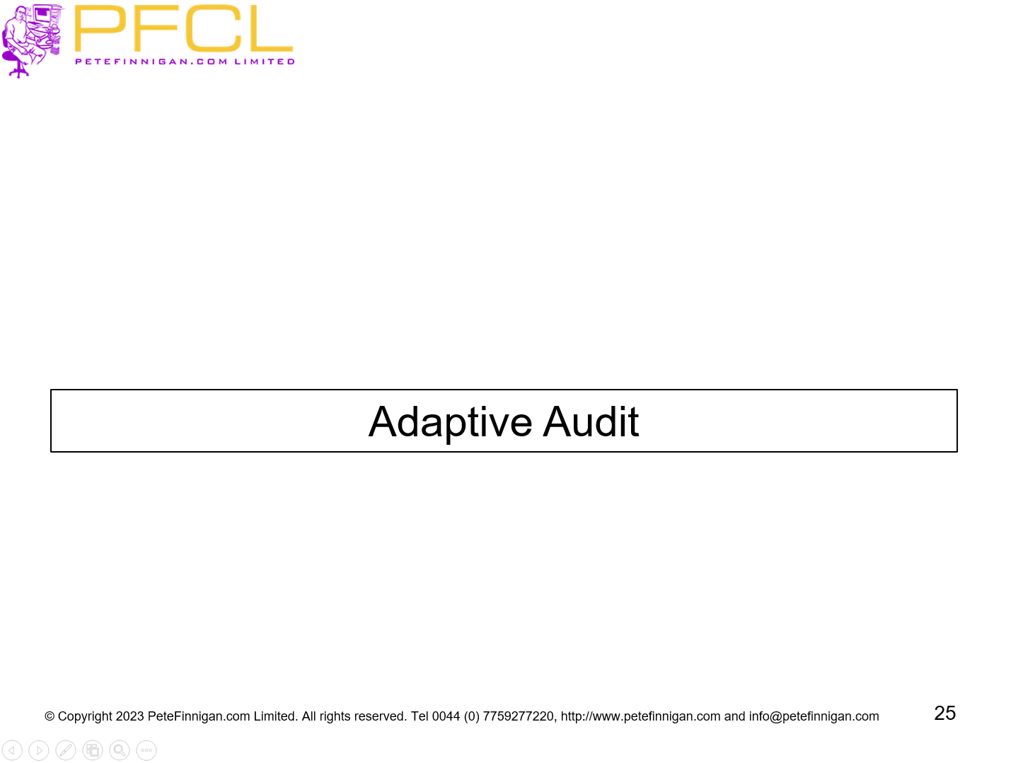 Adaptive Audit