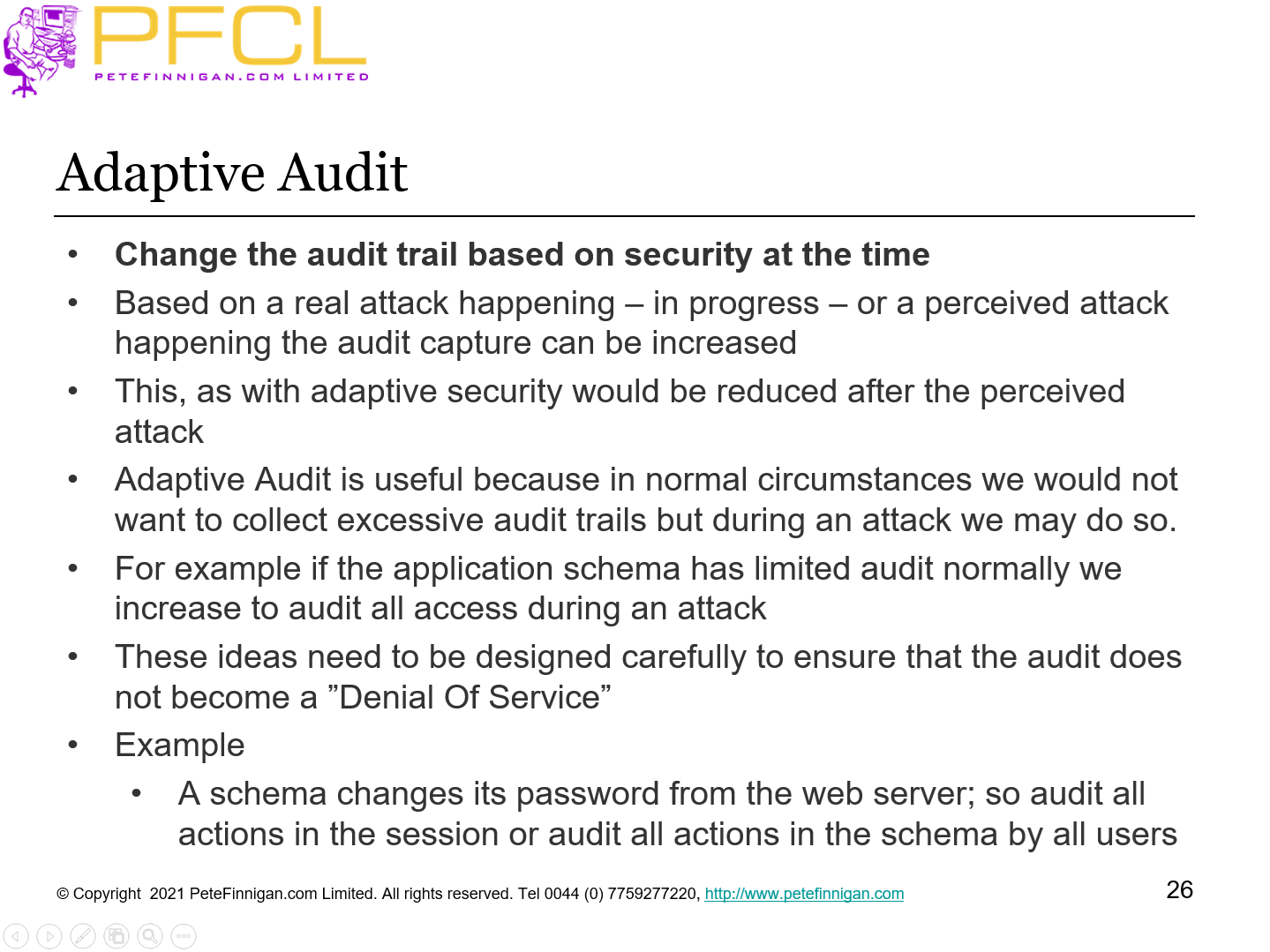 Adaptive Audit