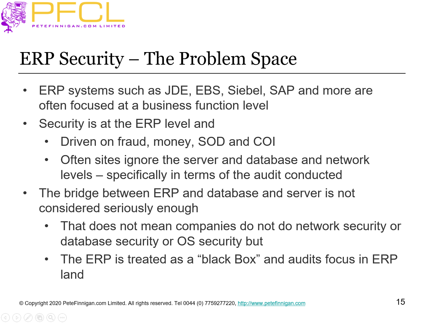 ERP Security – The Problem Space