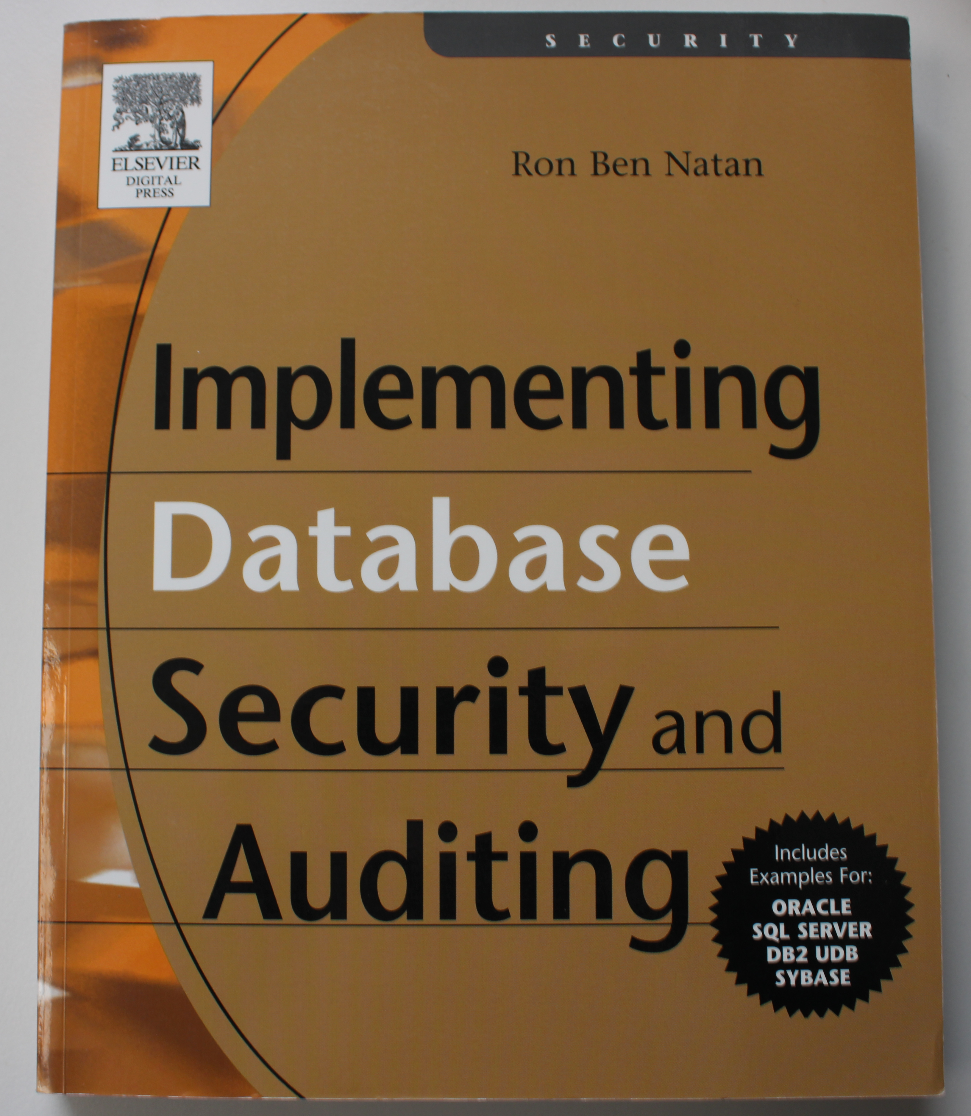 Implementing database security and auditing