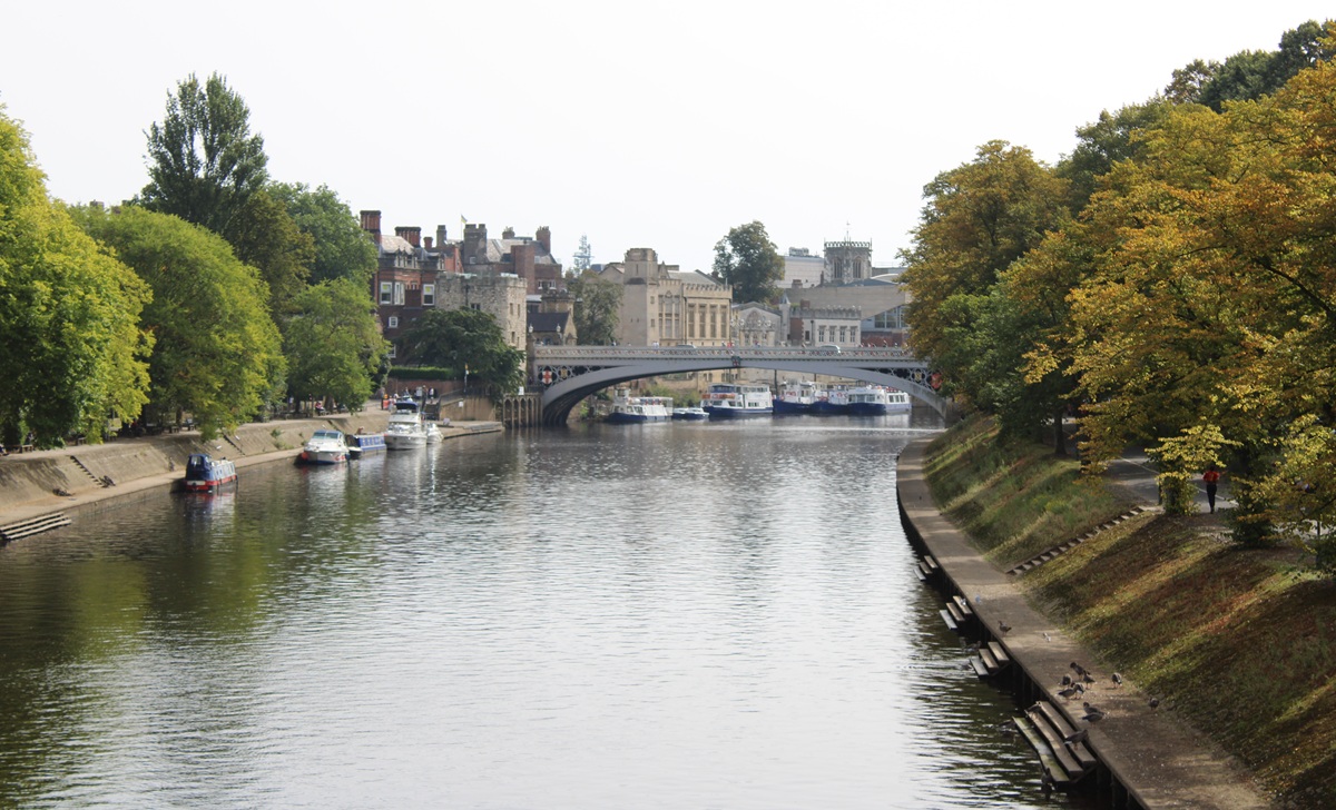 Oracle security training