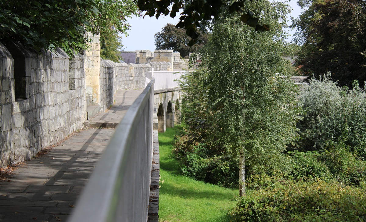 Oracle security training